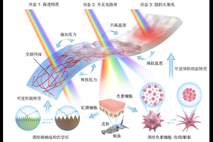 哈工大能源學院帥永教授團隊突破...