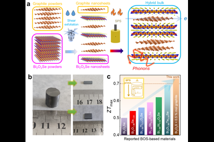 《AdvancedFunctionalMaterials》發(fā)表王一峰教授...