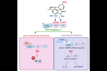 成都生物所研究發現新型化學小分子藥物靶向pro-cas...