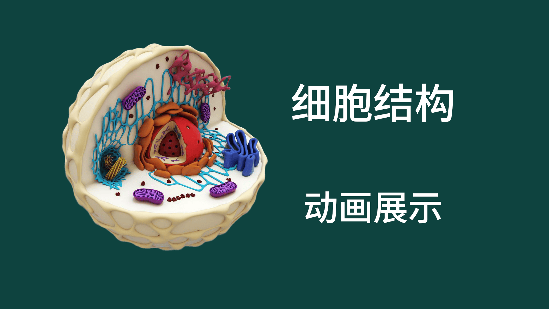 細(xì)胞結(jié)構(gòu)