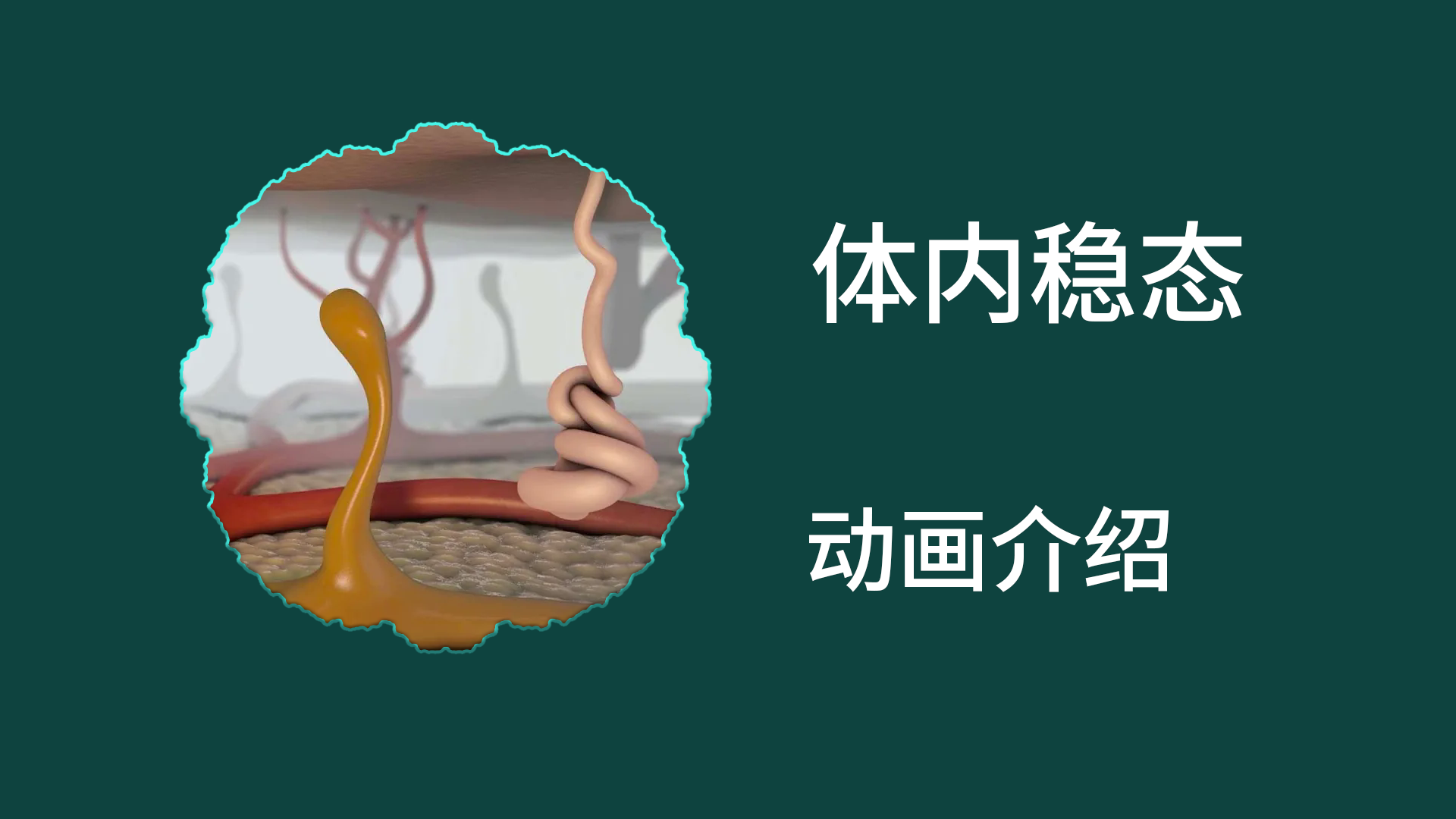 穩態