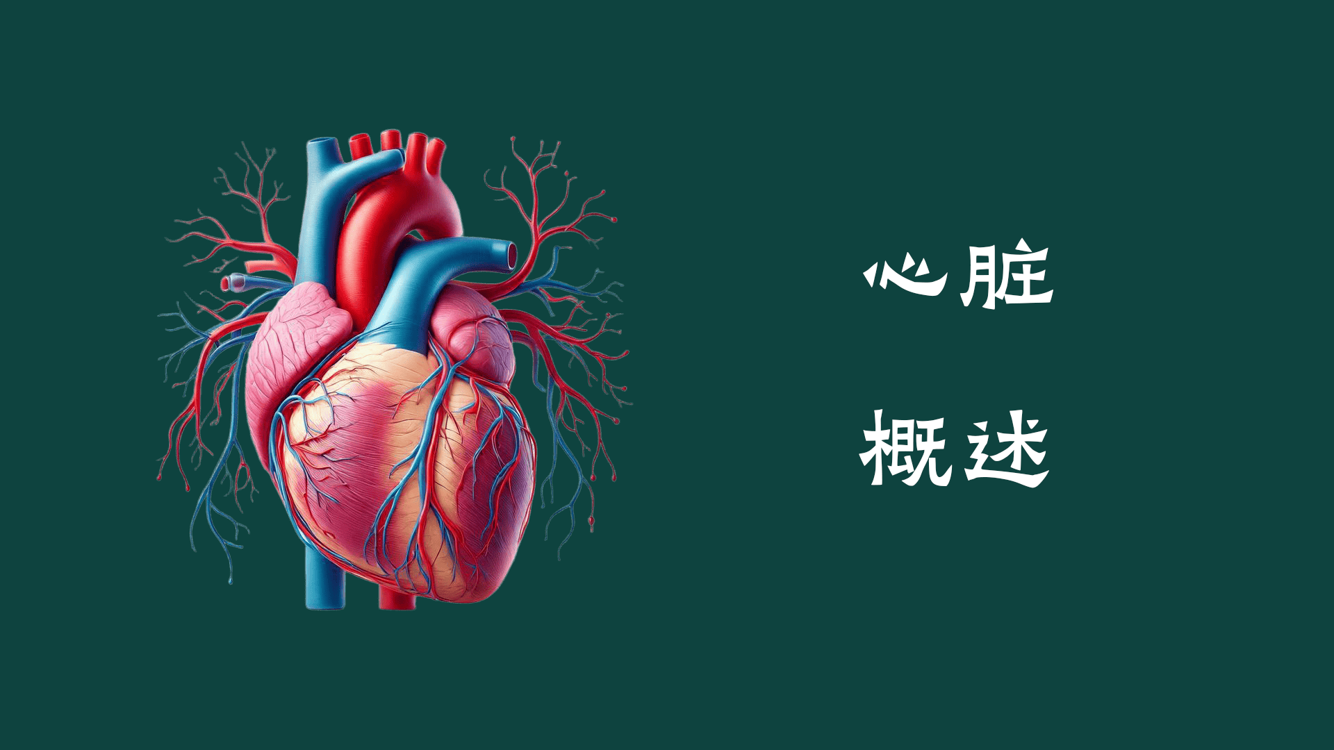 心臟