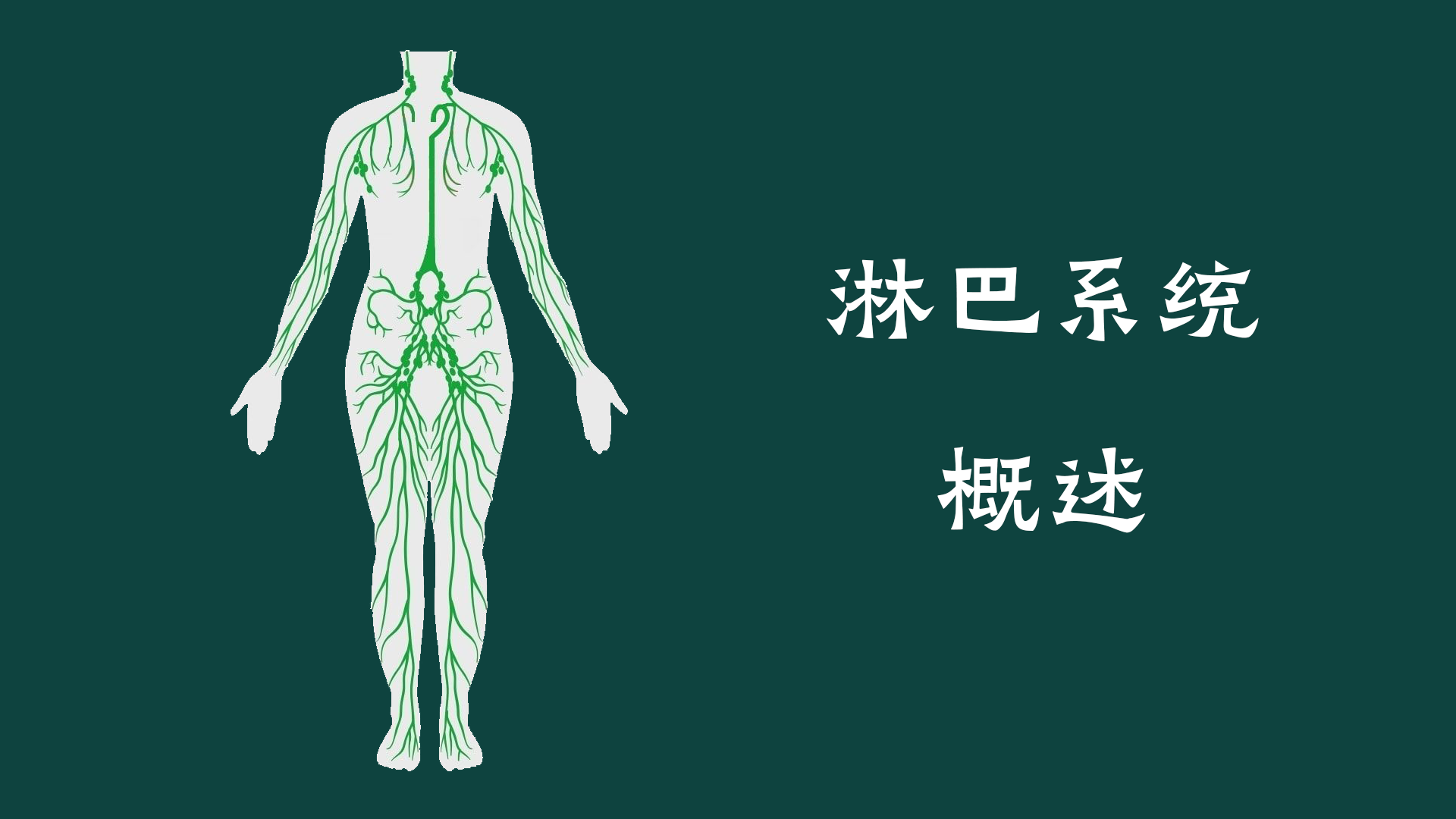 淋巴系統