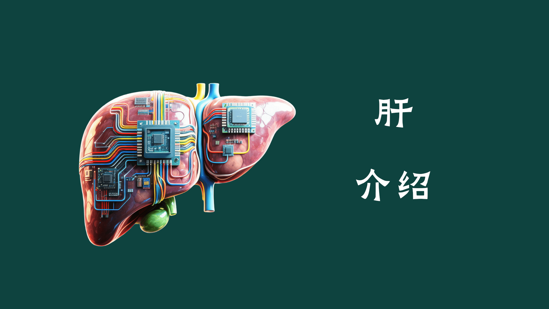 肝