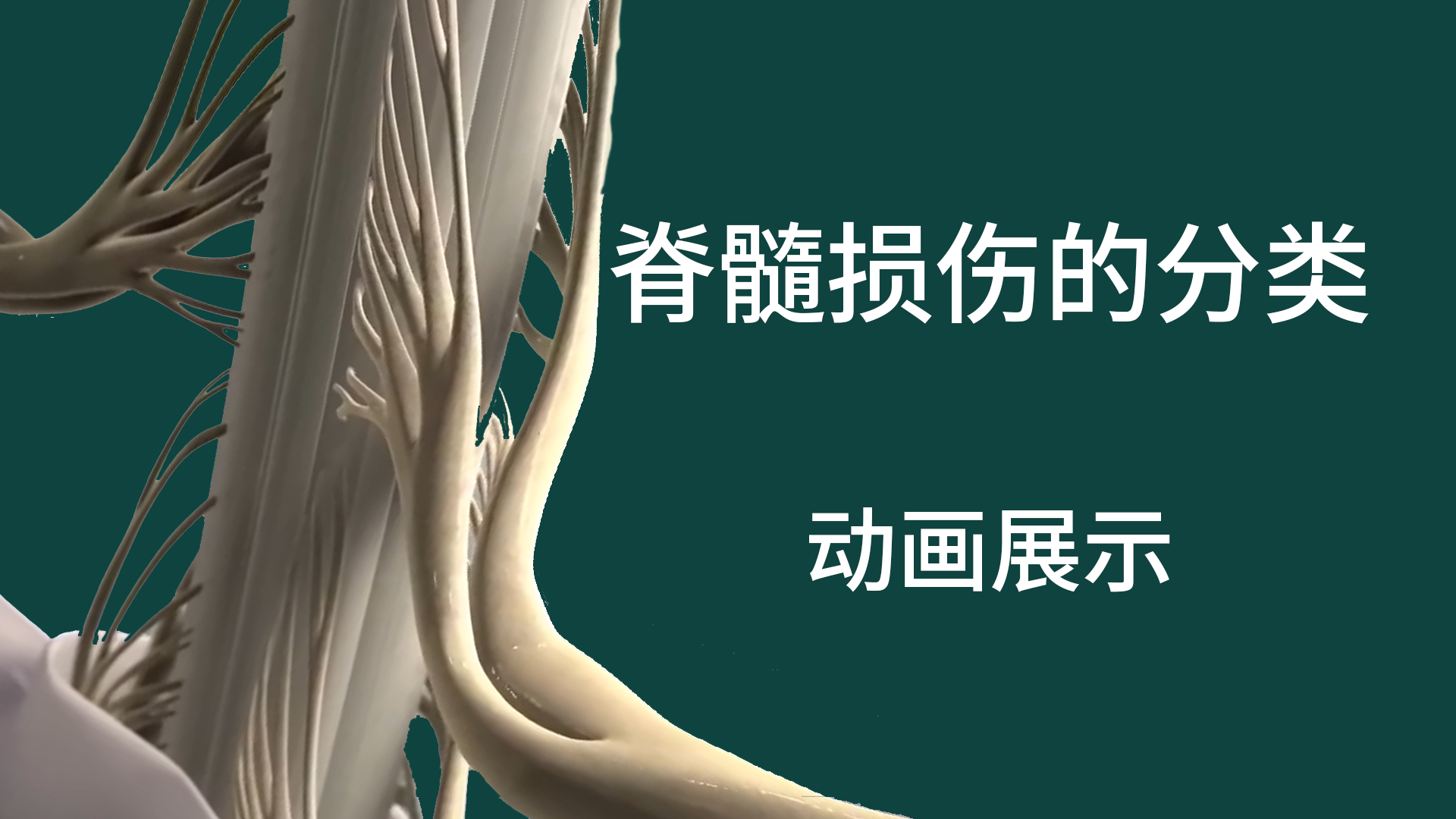 脊髓損傷的分類
